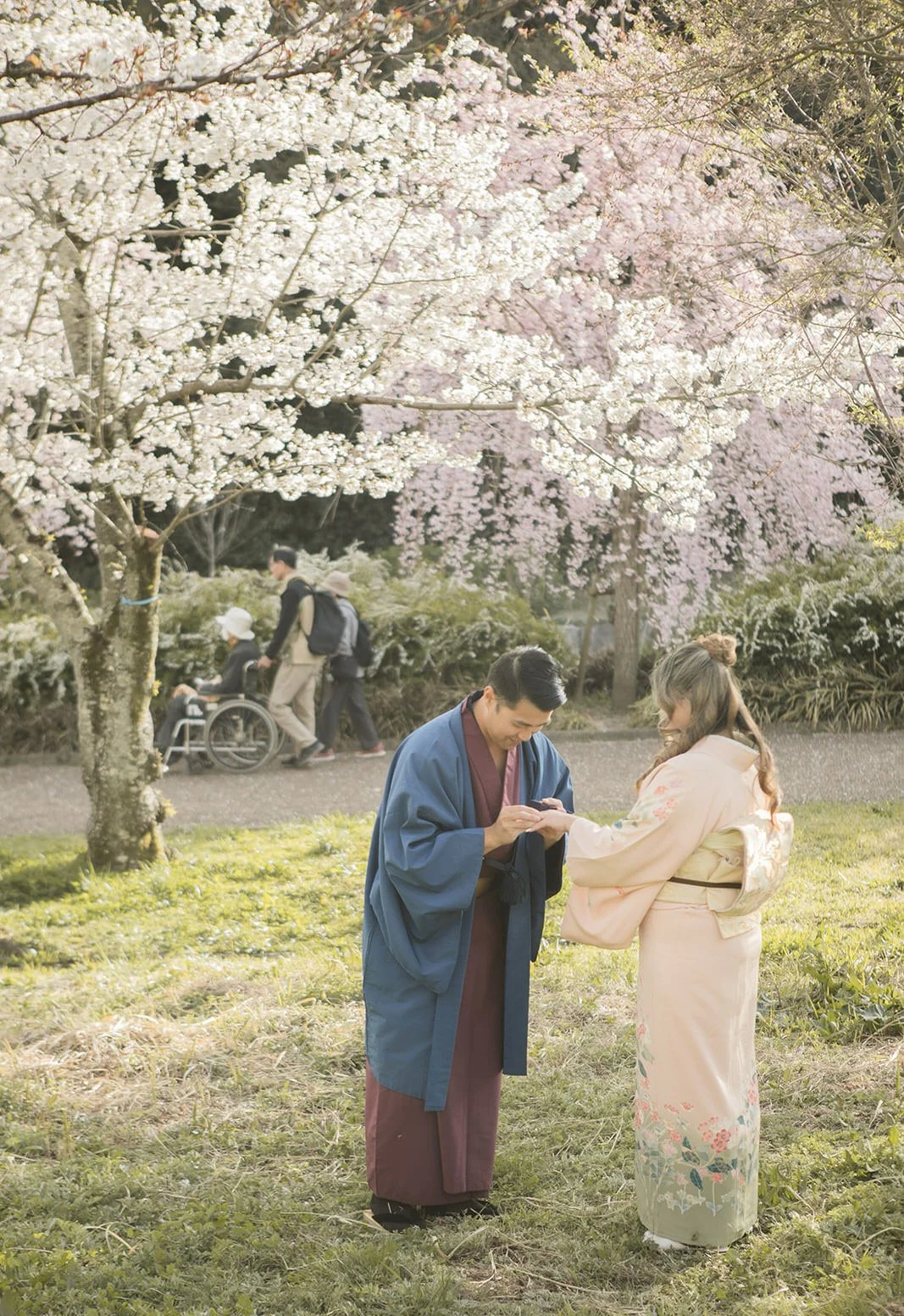 Kimono proposal photoshoot at Osaka Expo Park with cherry blossoms 6 of 27