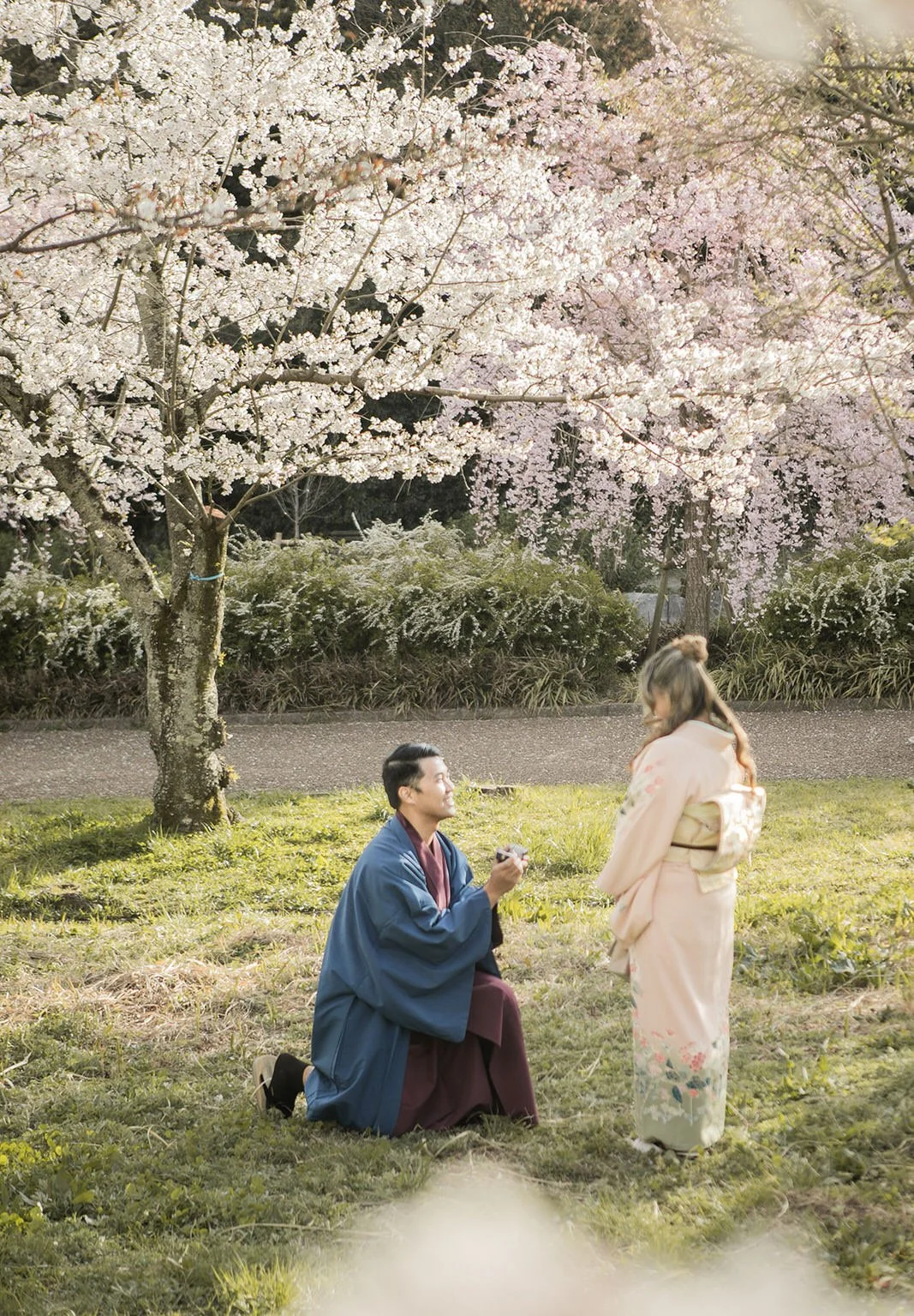 Kimono proposal photoshoot at Expo Park with cherry blossoms in Osaka