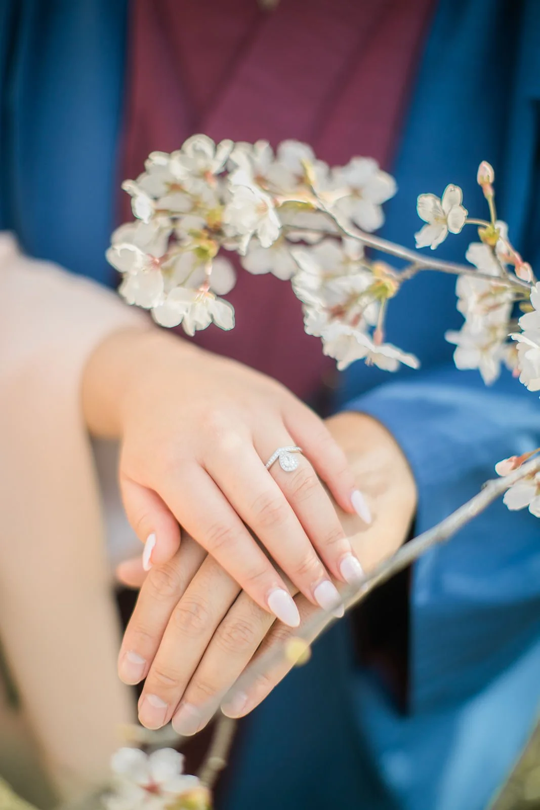 Kimono proposal photoshoot at Osaka Expo Park with cherry blossoms 11 of 27