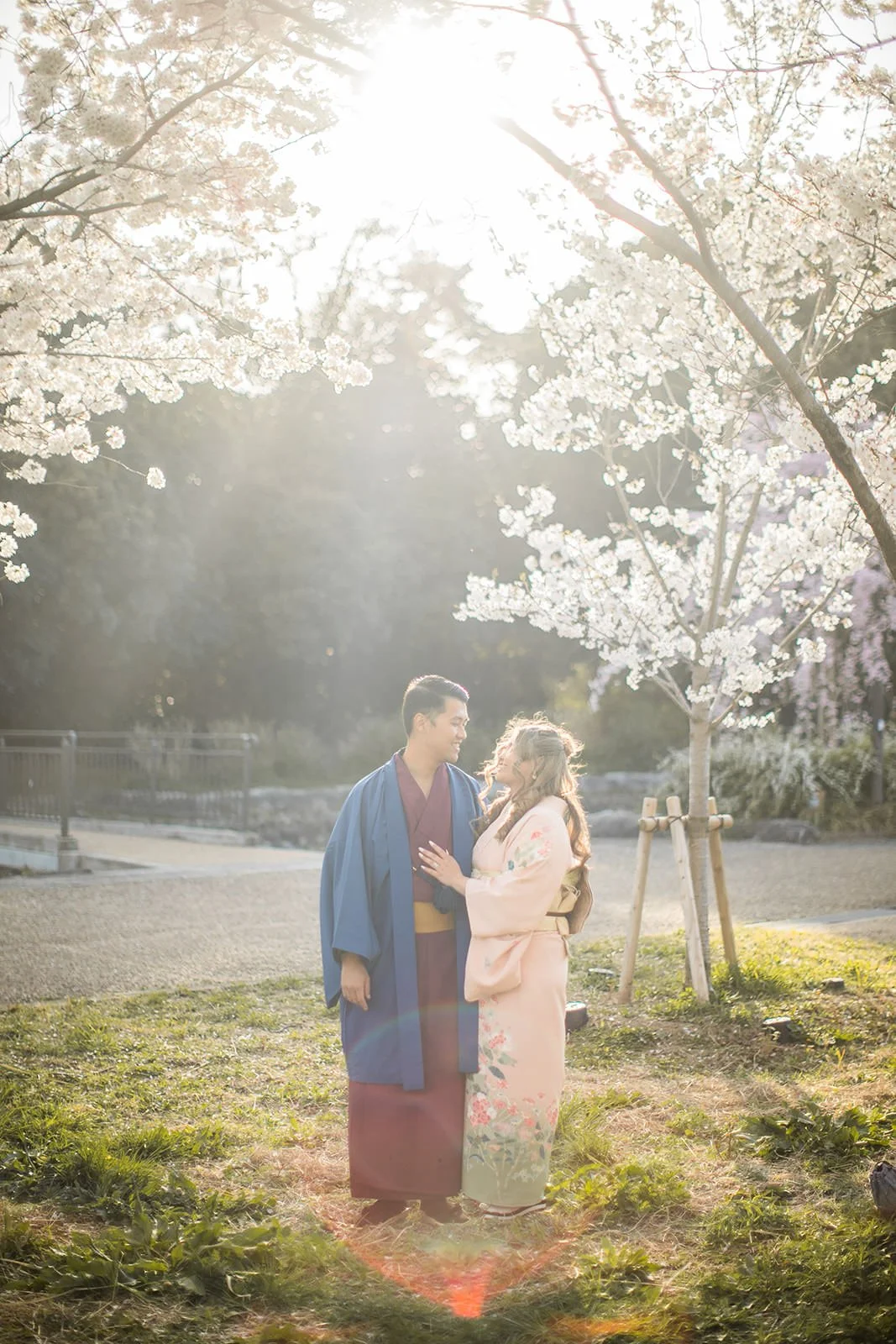 Kimono proposal photoshoot at Osaka Expo Park with cherry blossoms 15 of 27