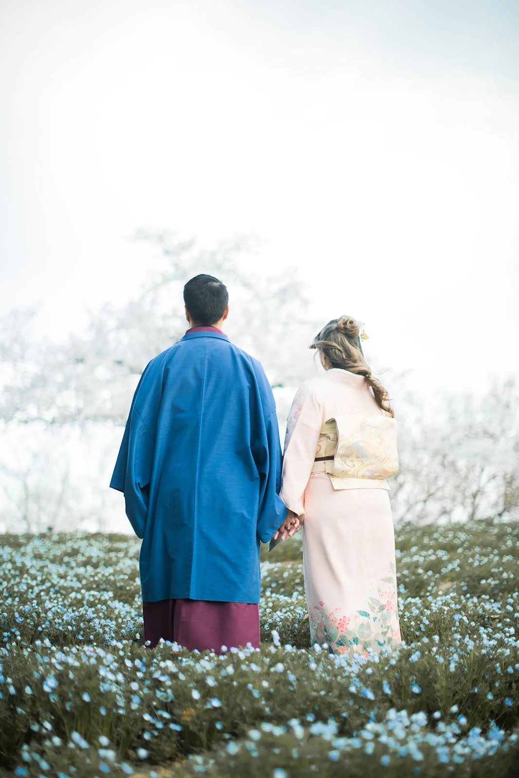Kimono proposal photoshoot at Osaka Expo Park with cherry blossoms 22 of 27