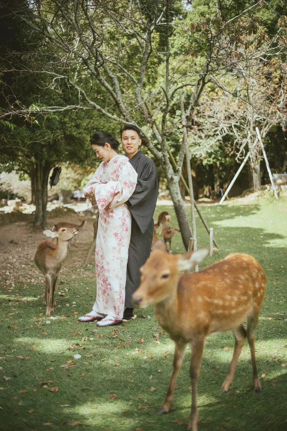 Kimono proposal photoshoot at Nara Park in autumn — photo 29