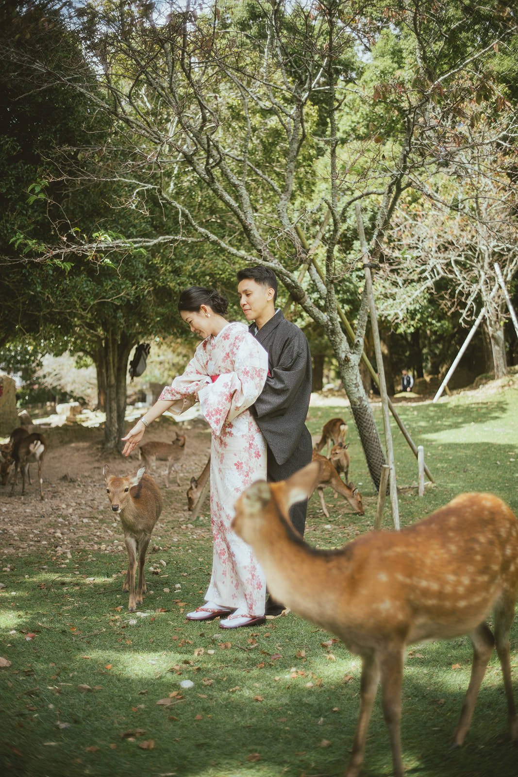 nara-park-autumn-proposal-kimono (30).jpg