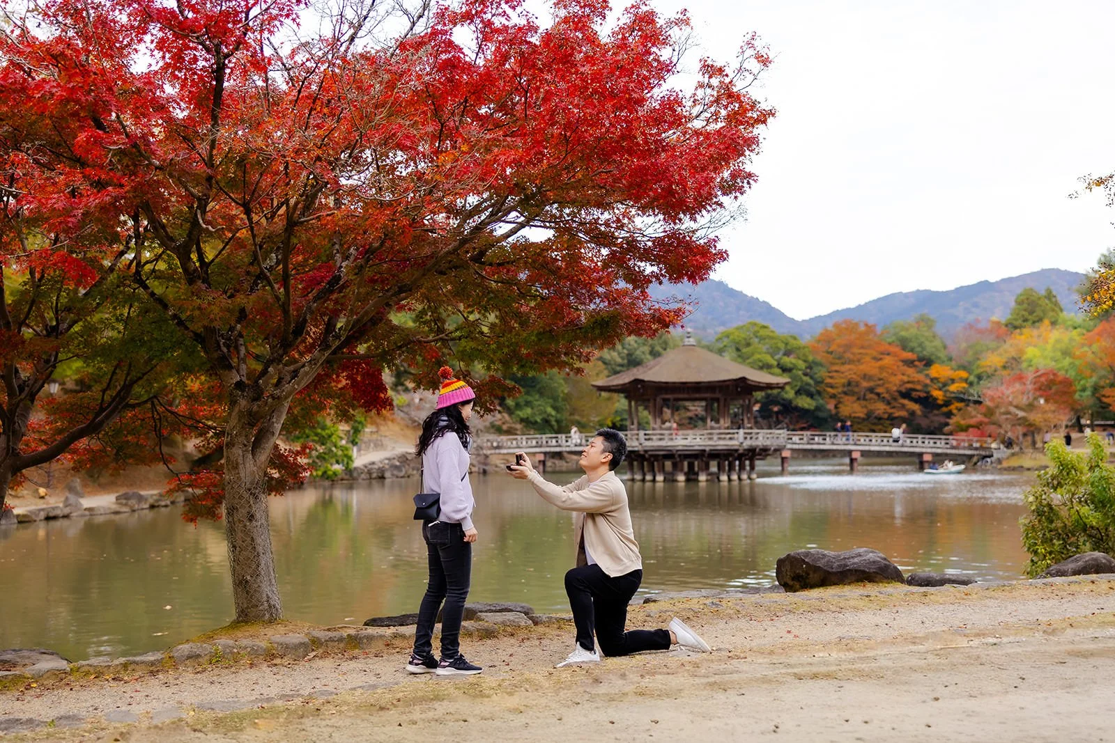 nara-park-autumn-sunset-proposal (2).jpg