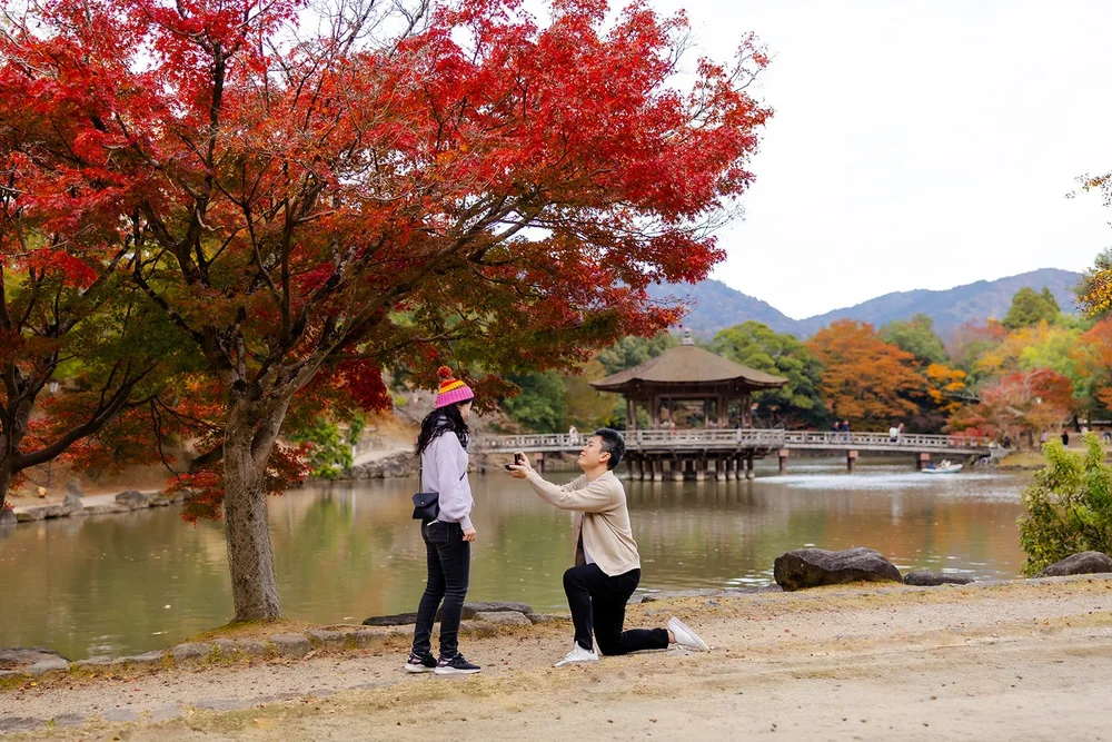 Autumn sunset proposal photoshoot at Nara Park — photo 2