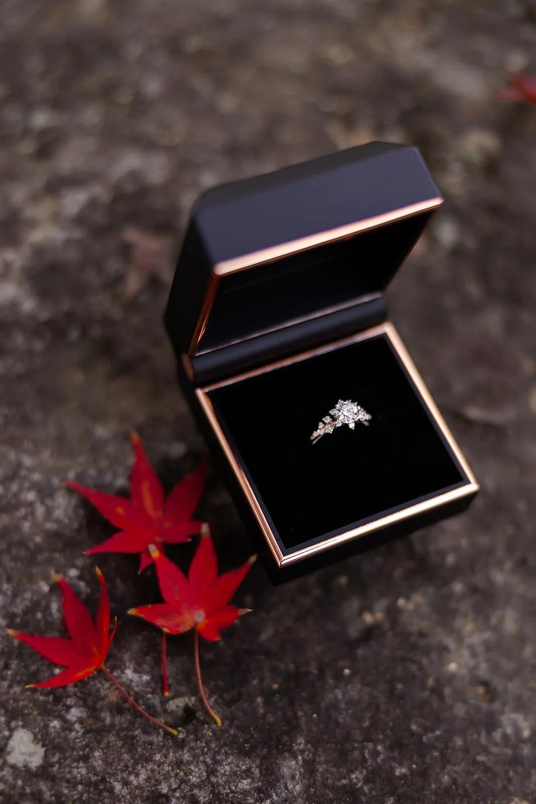 nara-park-autumn-sunset-proposal (10).jpg