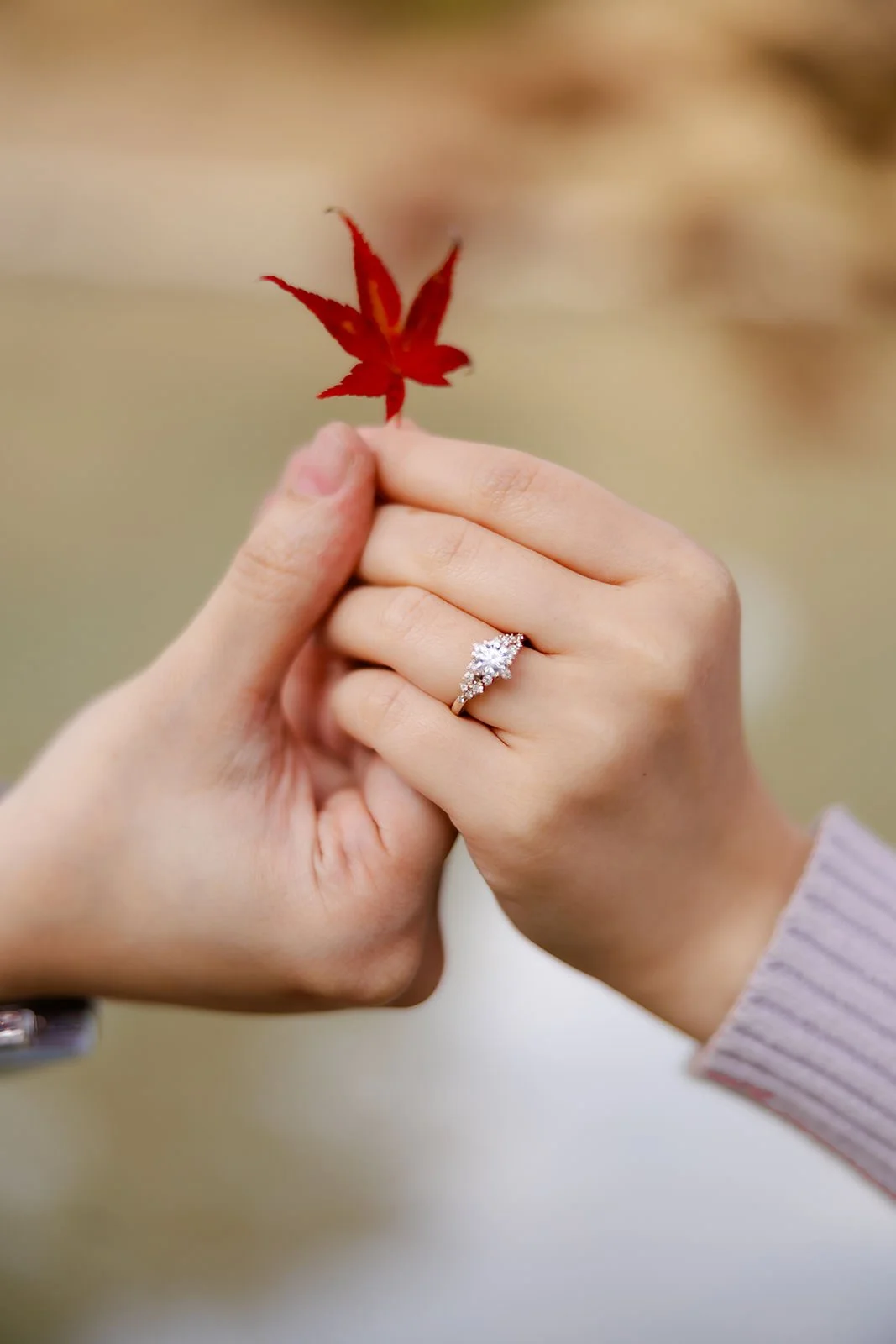 nara-park-autumn-sunset-proposal (12).jpg