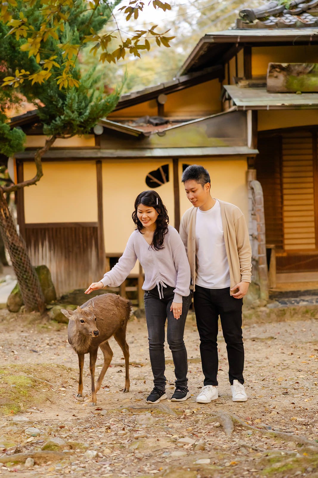 nara-park-autumn-sunset-proposal (23).jpg