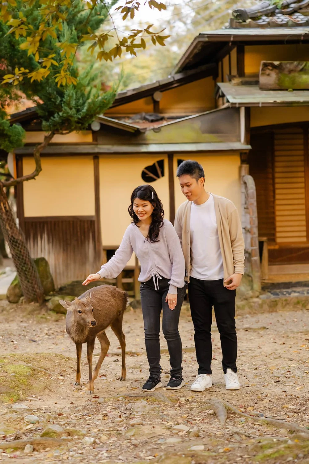 Autumn sunset proposal photoshoot at Nara Park — photo 23