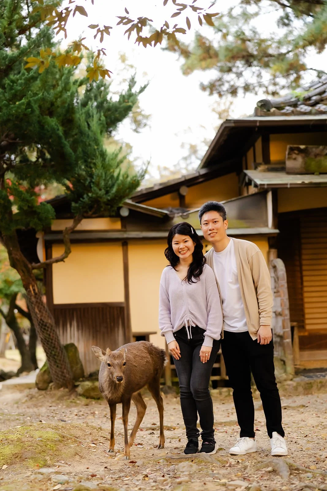 nara-park-autumn-sunset-proposal (24).jpg