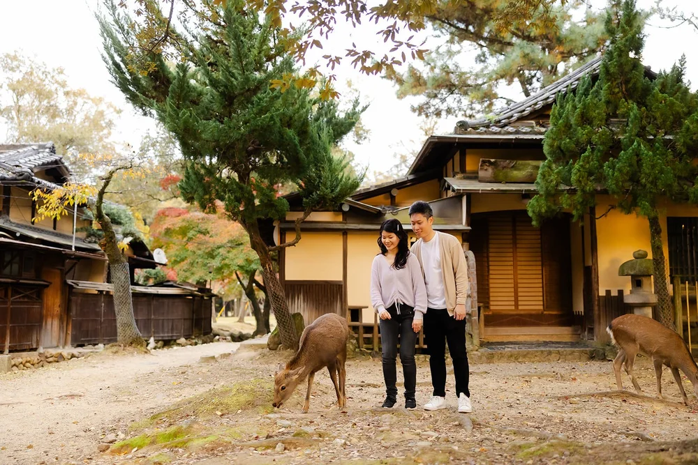 Autumn sunset proposal photoshoot at Nara Park — photo 25
