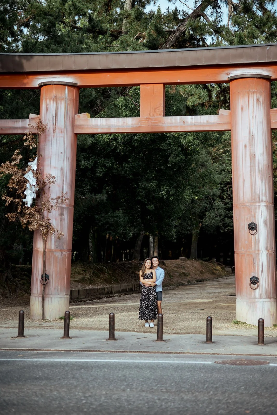 nara-park-summer-sunset-proposal (19).jpg