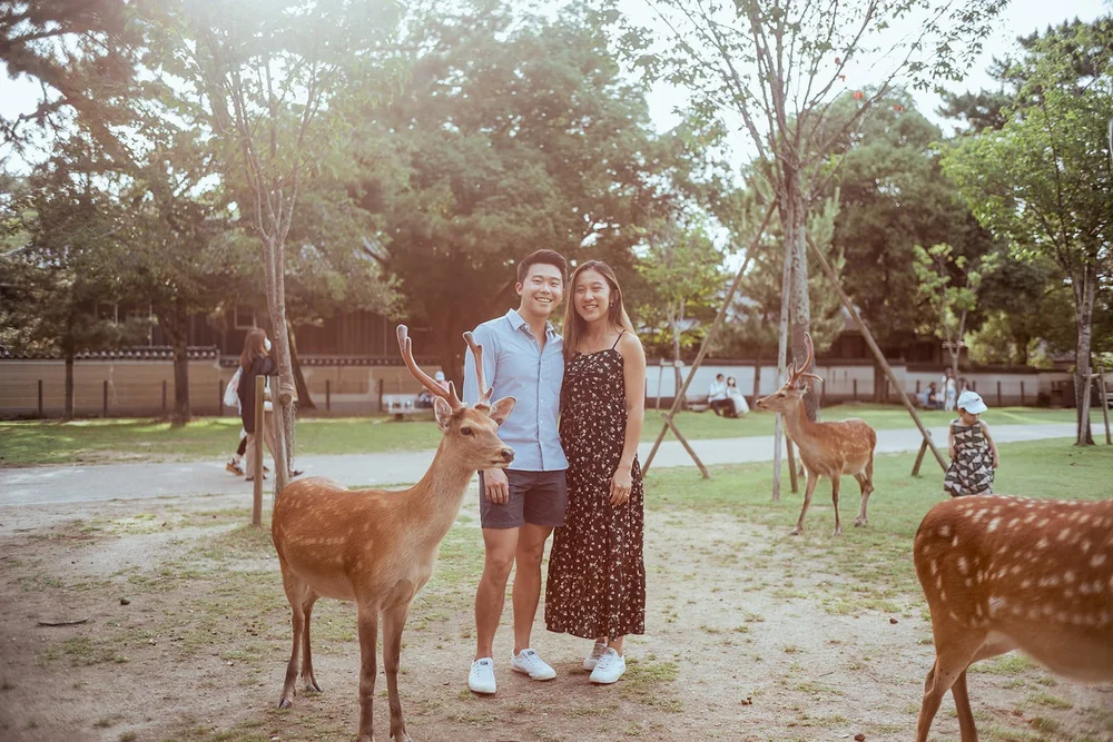 Summer sunset proposal photoshoot at Nara Park — photo 20