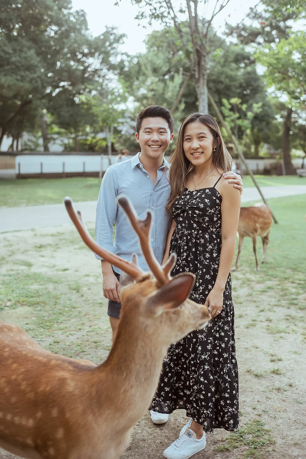 nara-park-summer-sunset-proposal (21).jpg
