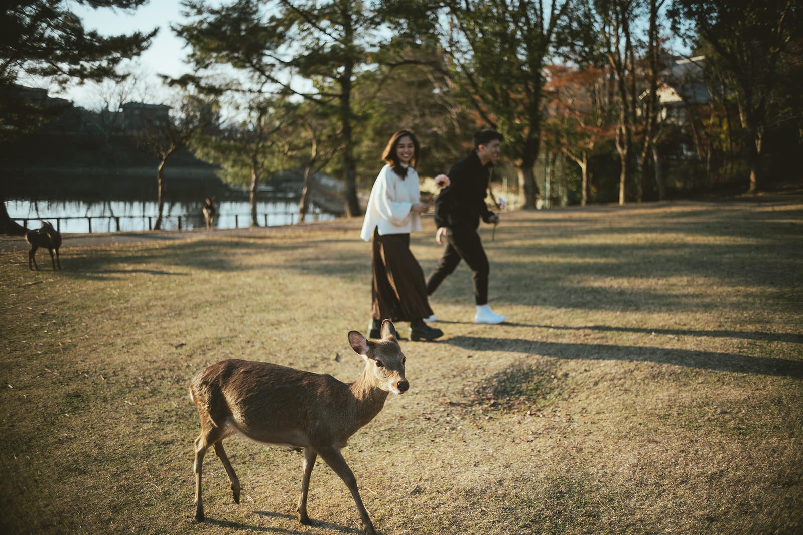 nara-park-winter-proposal (23).jpg