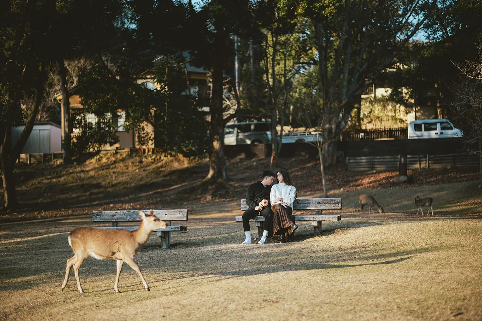nara-park-winter-proposal (24).jpg