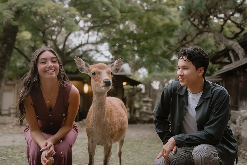Couples photoshoot with deer at Nara Park