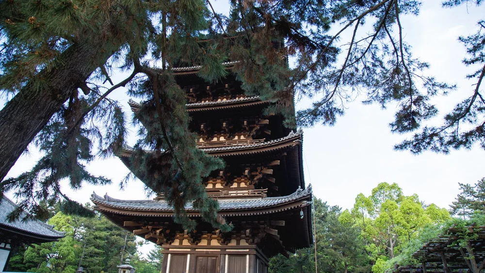Kofukuji Temple five-story pagoda in Nara