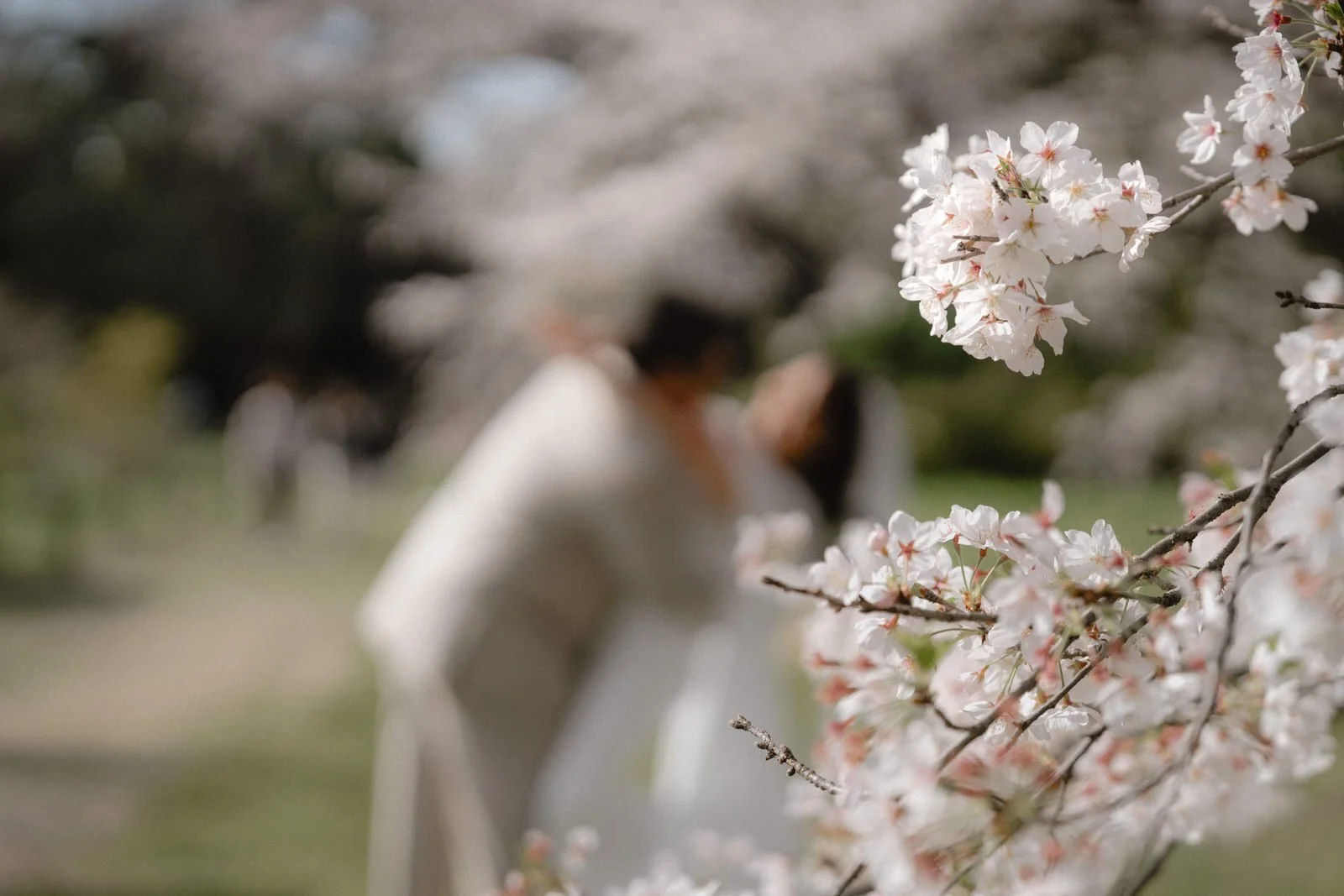 Pre-wedding photoshoot at Cherry Blossoms + Marunouchi, Tokyo, photo 2 of 30