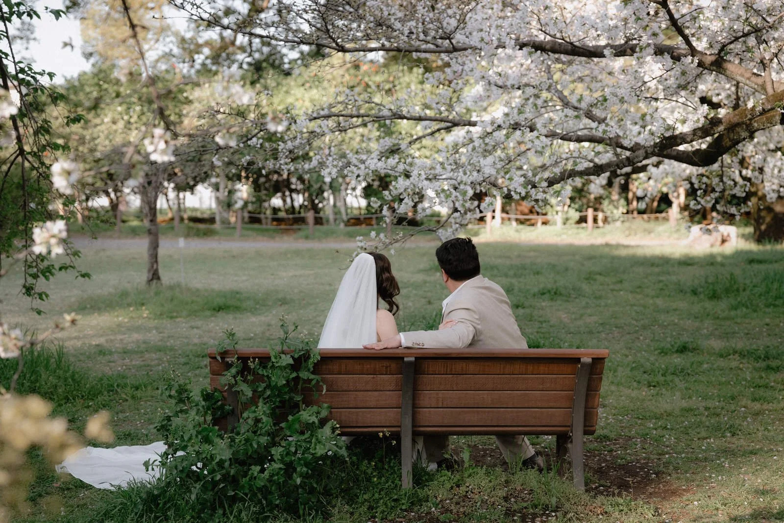 Pre-wedding photoshoot at Cherry Blossoms + Marunouchi, Tokyo, photo 14 of 30