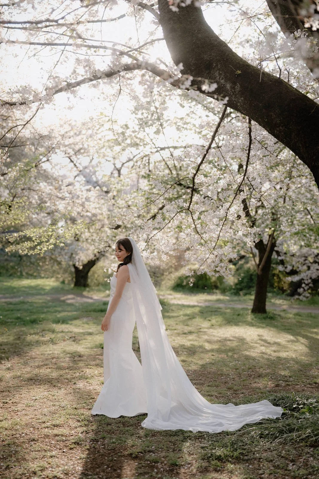 Pre-wedding photoshoot at Cherry Blossoms + Marunouchi, Tokyo, photo 20 of 30