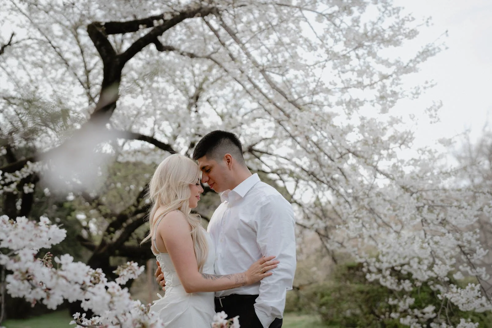 Pre-wedding photoshoot at Cherry Blossoms, Tokyo, photo 2 of 25