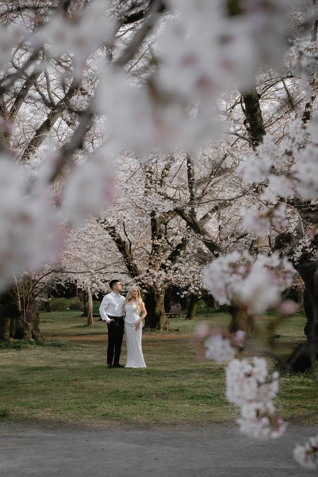 Pre-wedding photoshoot at Cherry Blossoms, Tokyo, photo 13 of 25