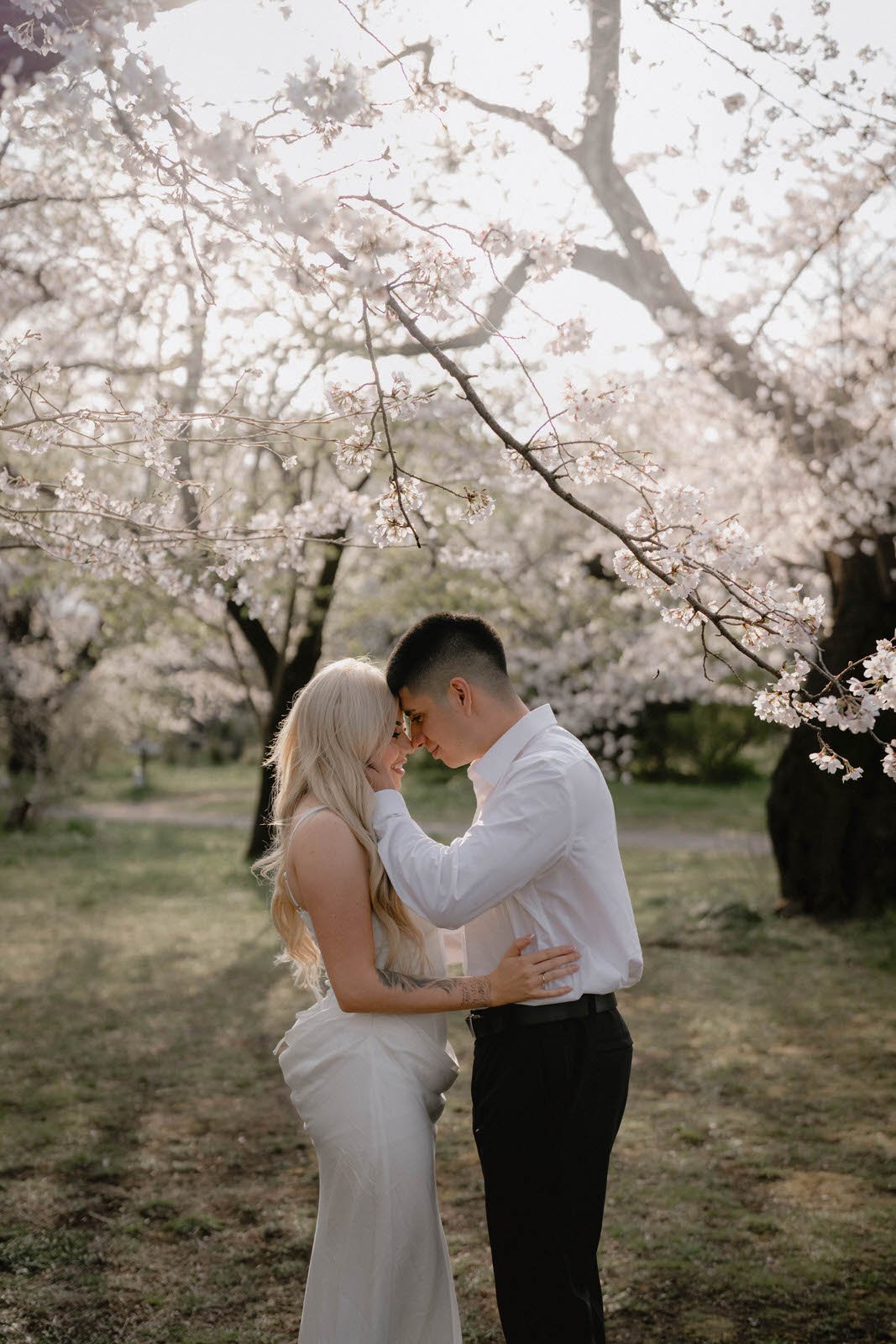 Pre-wedding photoshoot at Cherry Blossoms, Tokyo, photo 18 of 25