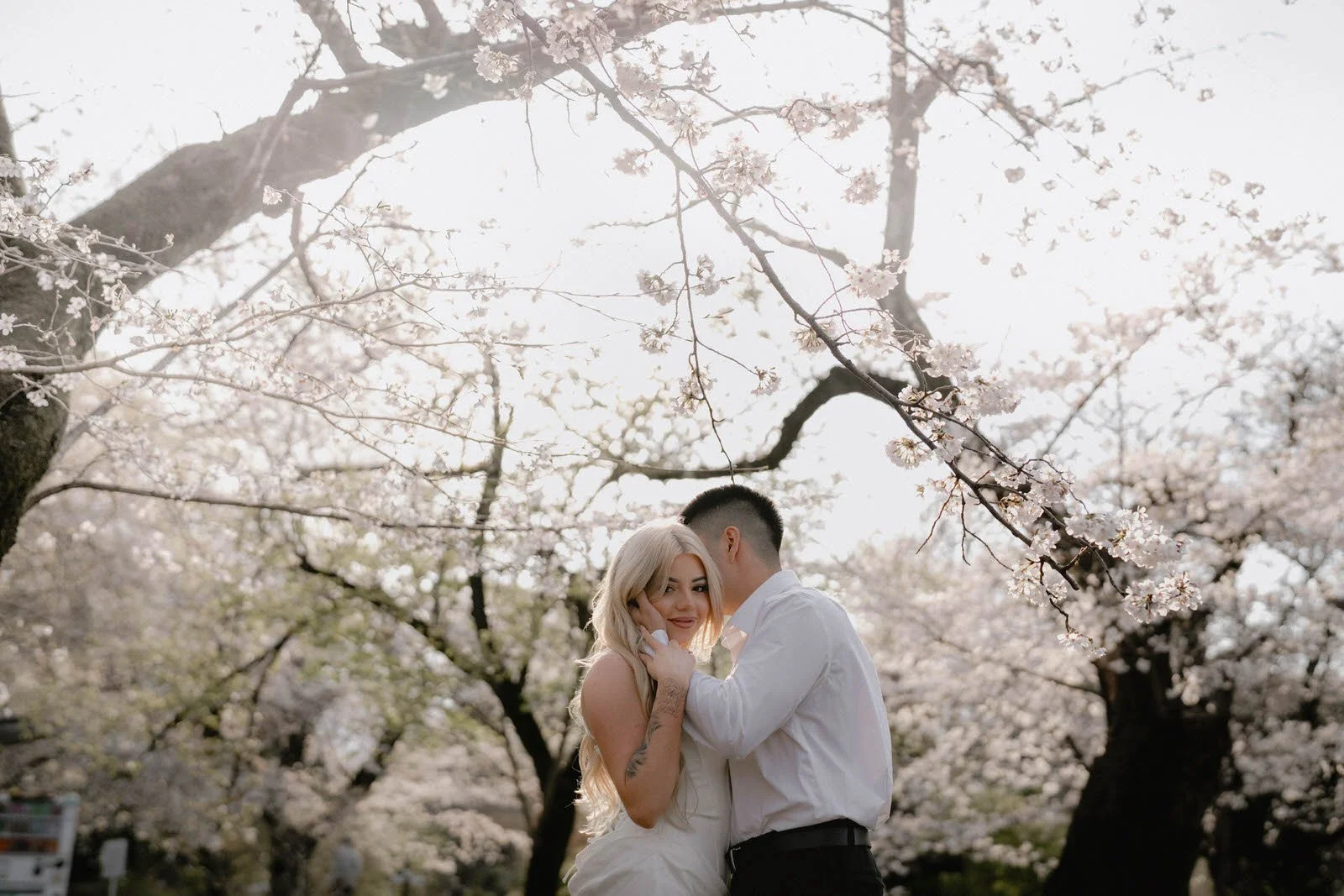 Pre-wedding photoshoot at cherry blossoms, Tokyo