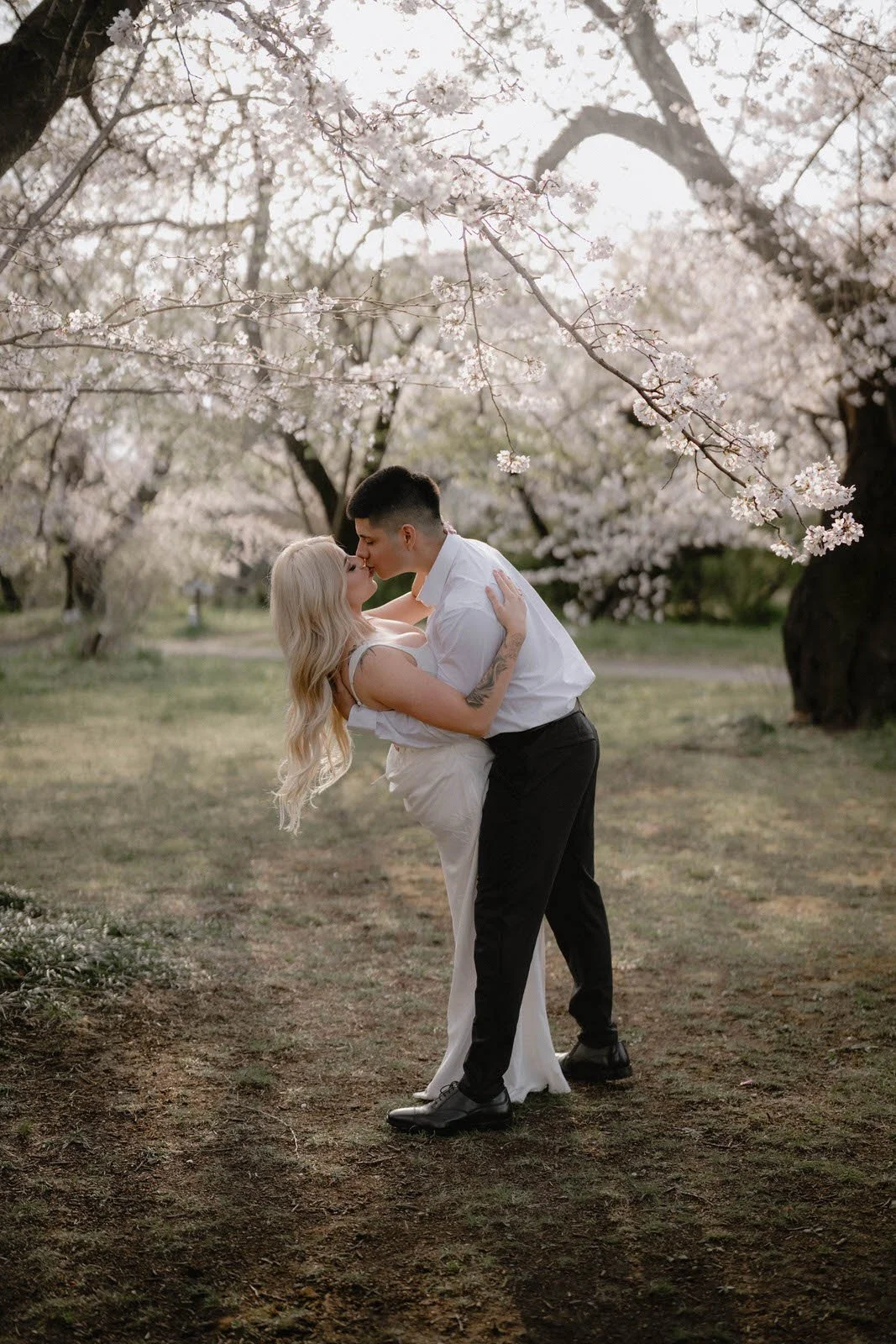 Pre-wedding photoshoot at Cherry Blossoms, Tokyo, photo 20 of 25