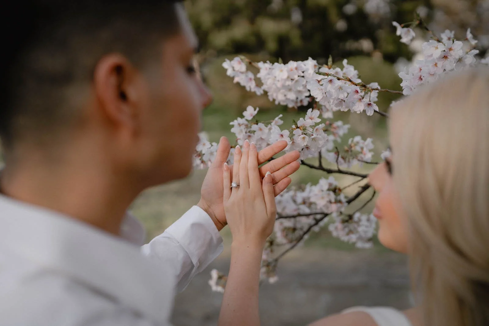 Pre-wedding photoshoot at Cherry Blossoms, Tokyo, photo 22 of 25