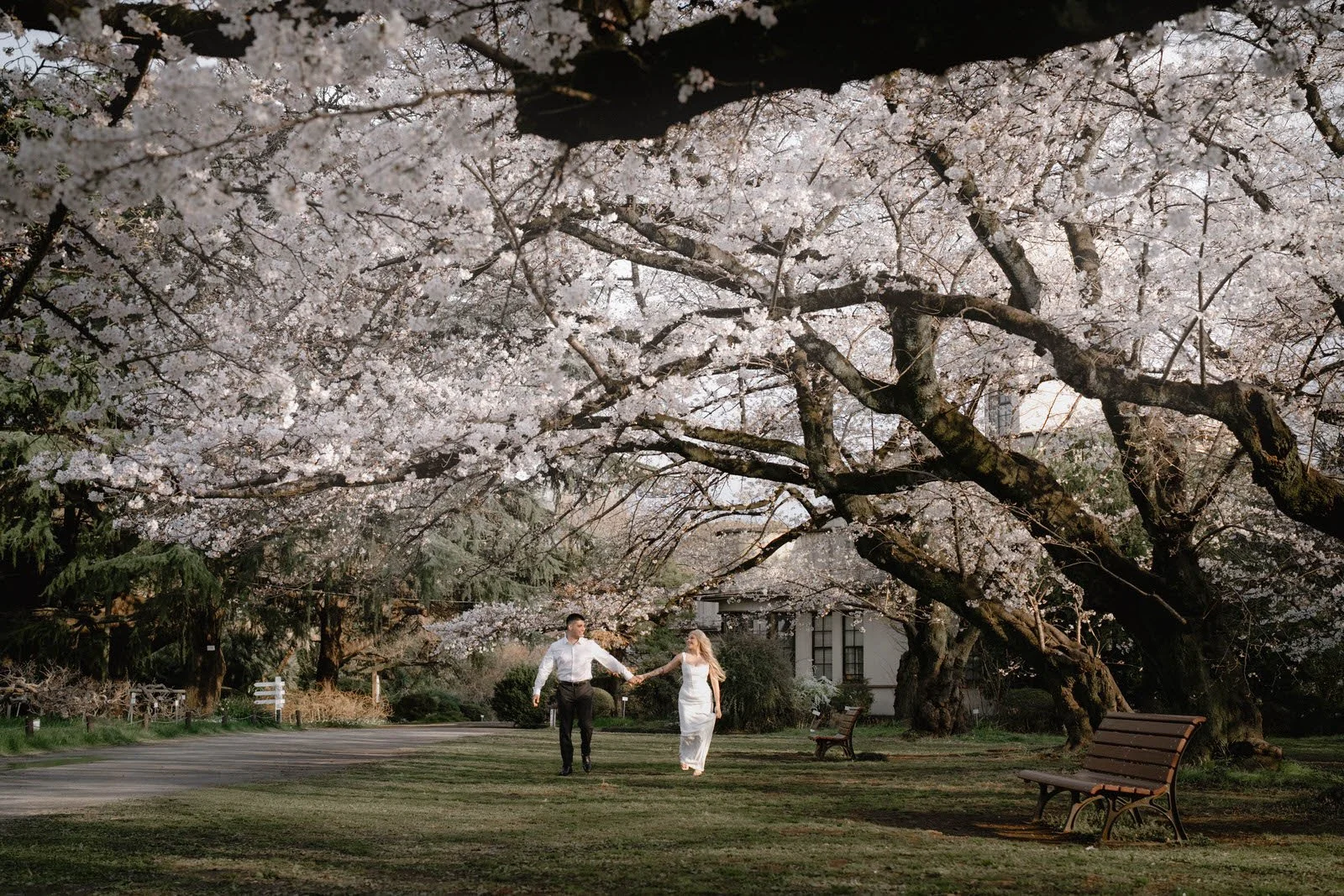 Pre-wedding photoshoot at Cherry Blossoms, Tokyo, photo 24 of 25