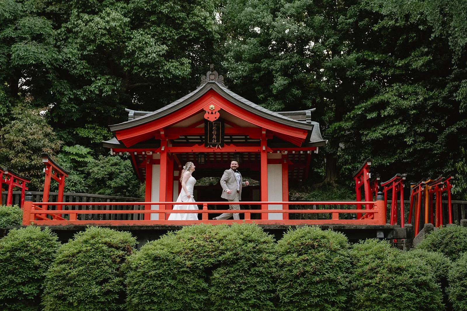 Pre-wedding photoshoot at Nezu Shrine, Tokyo, photo 22 of 30