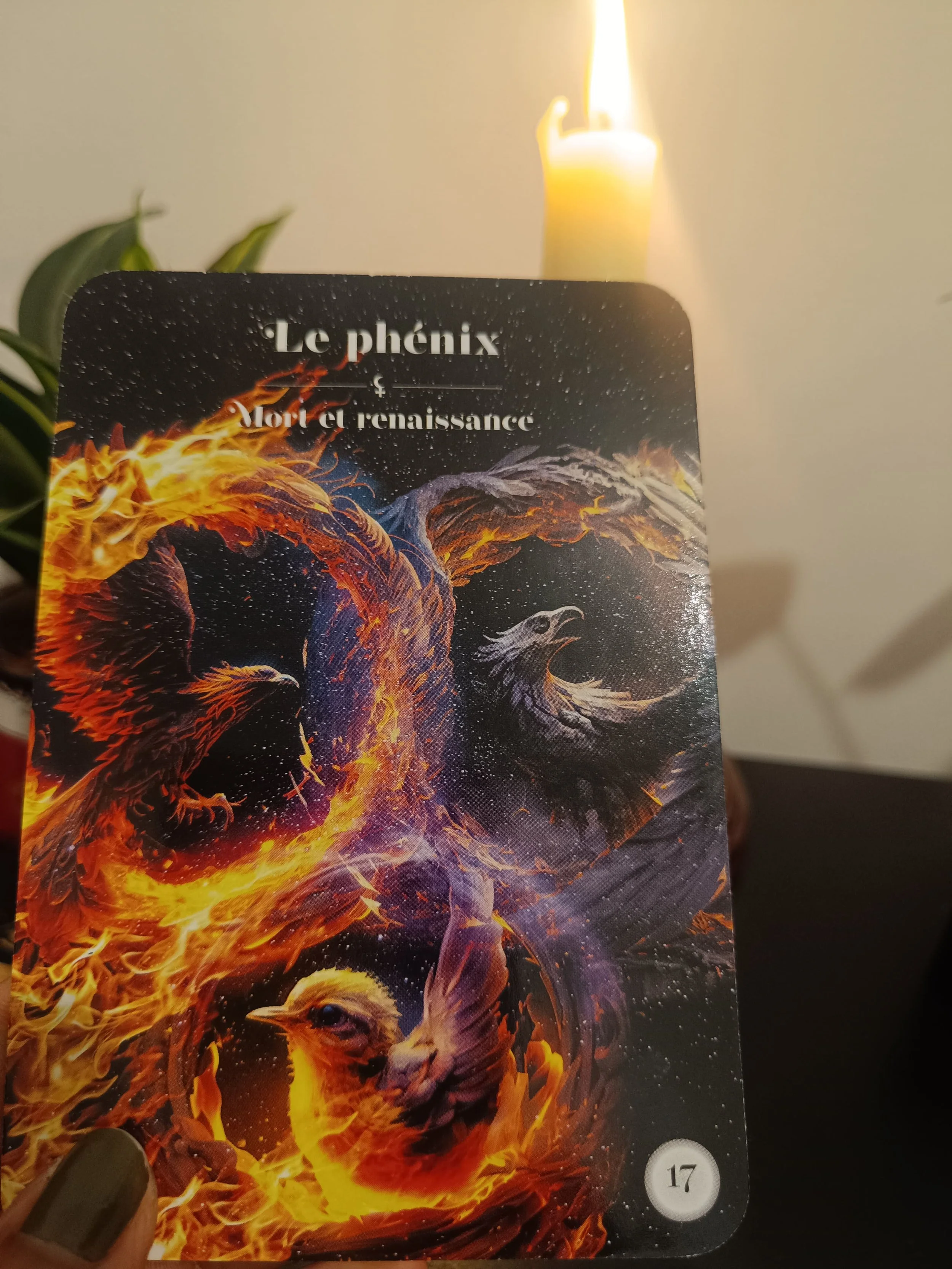 🌌 Note Cosmique du Samedi 19 Septembre 2026 : Vérité Viscérale, Limites Compatissantes et Magnétisme Authentique.