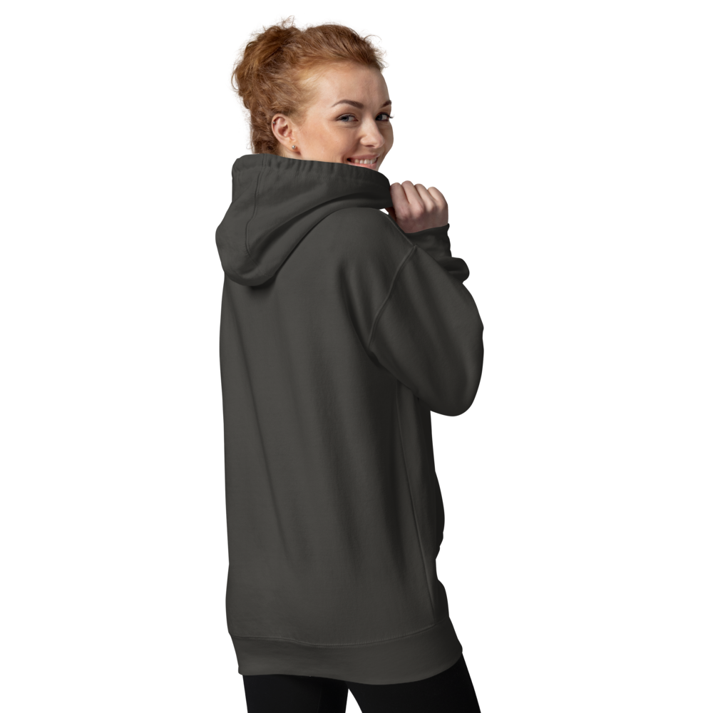 cotton-heritage-m2580-i-unisex-premium-pullover-hoodie-vintage-black-back-69a8387f75963.png