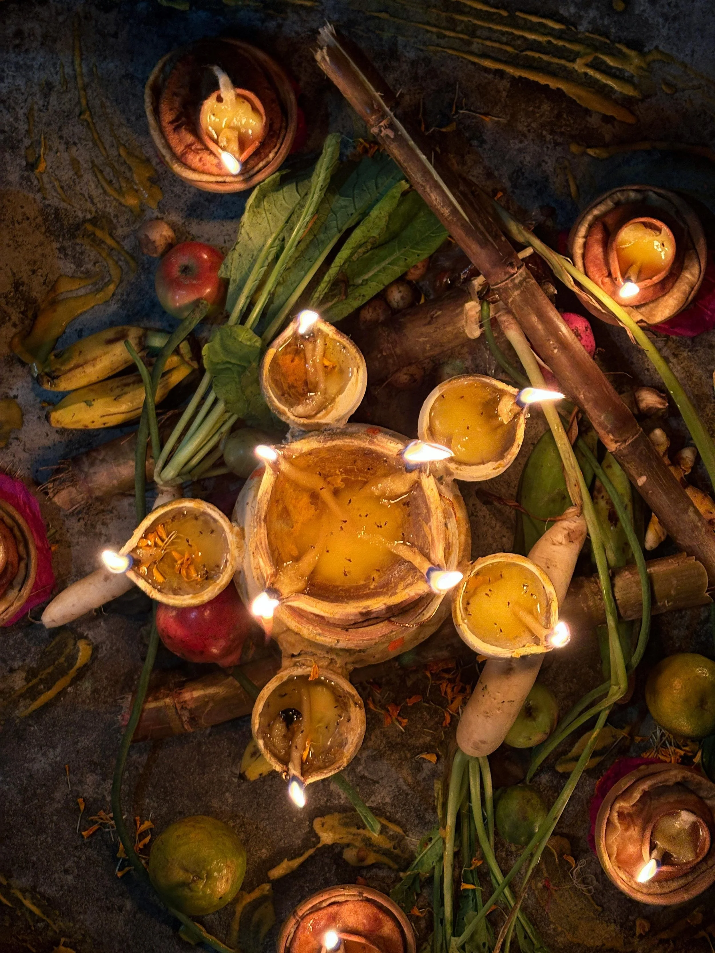 pexels-prince-yadav-2153102704-36836902 (1).jpg