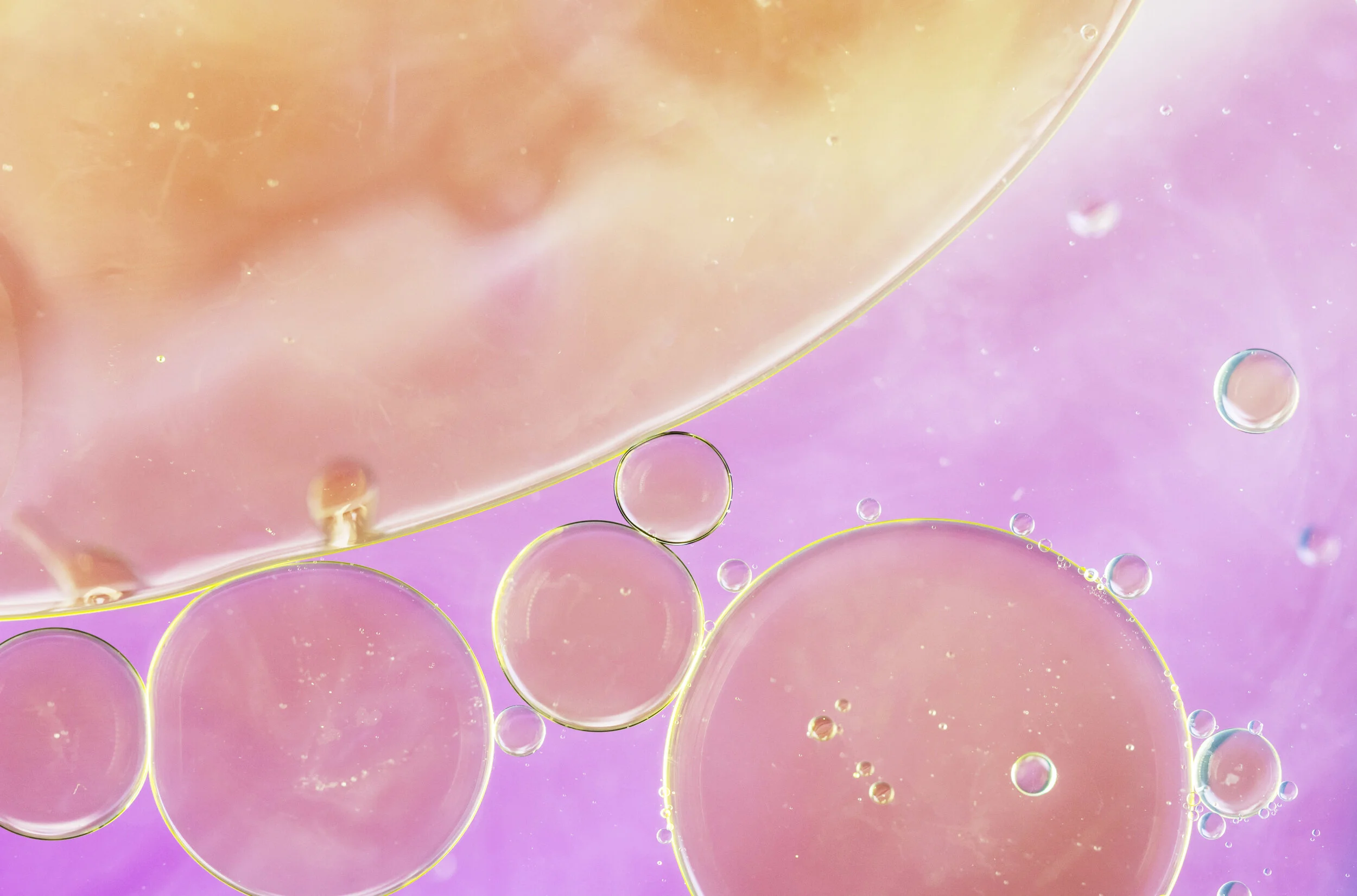 Dicas antienvelhecimento veganas e orgânicas.