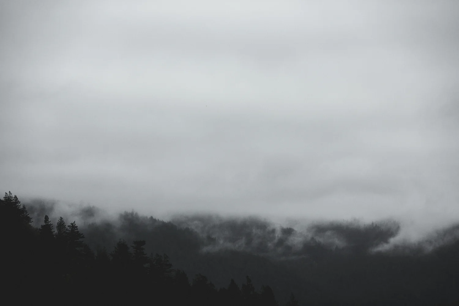 ishimoto13.jpg