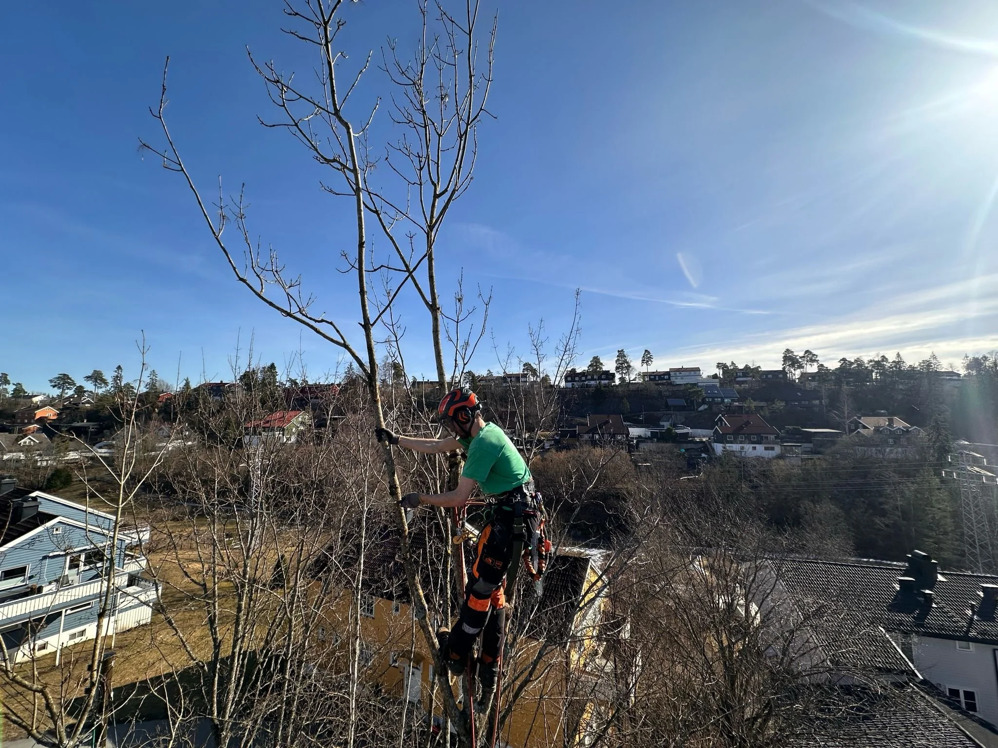 epltre beskjæring ås