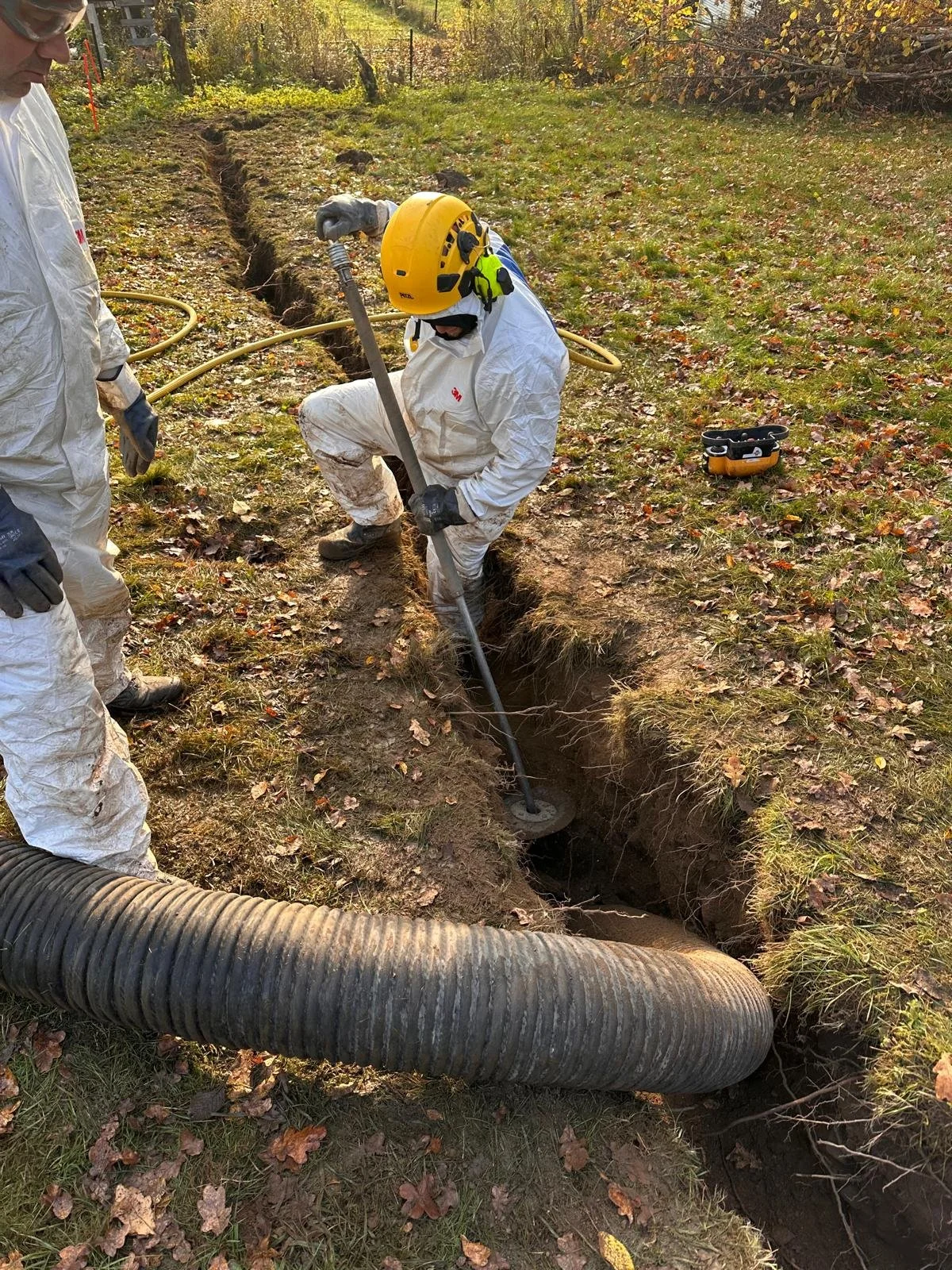 rot beskjæring oslo