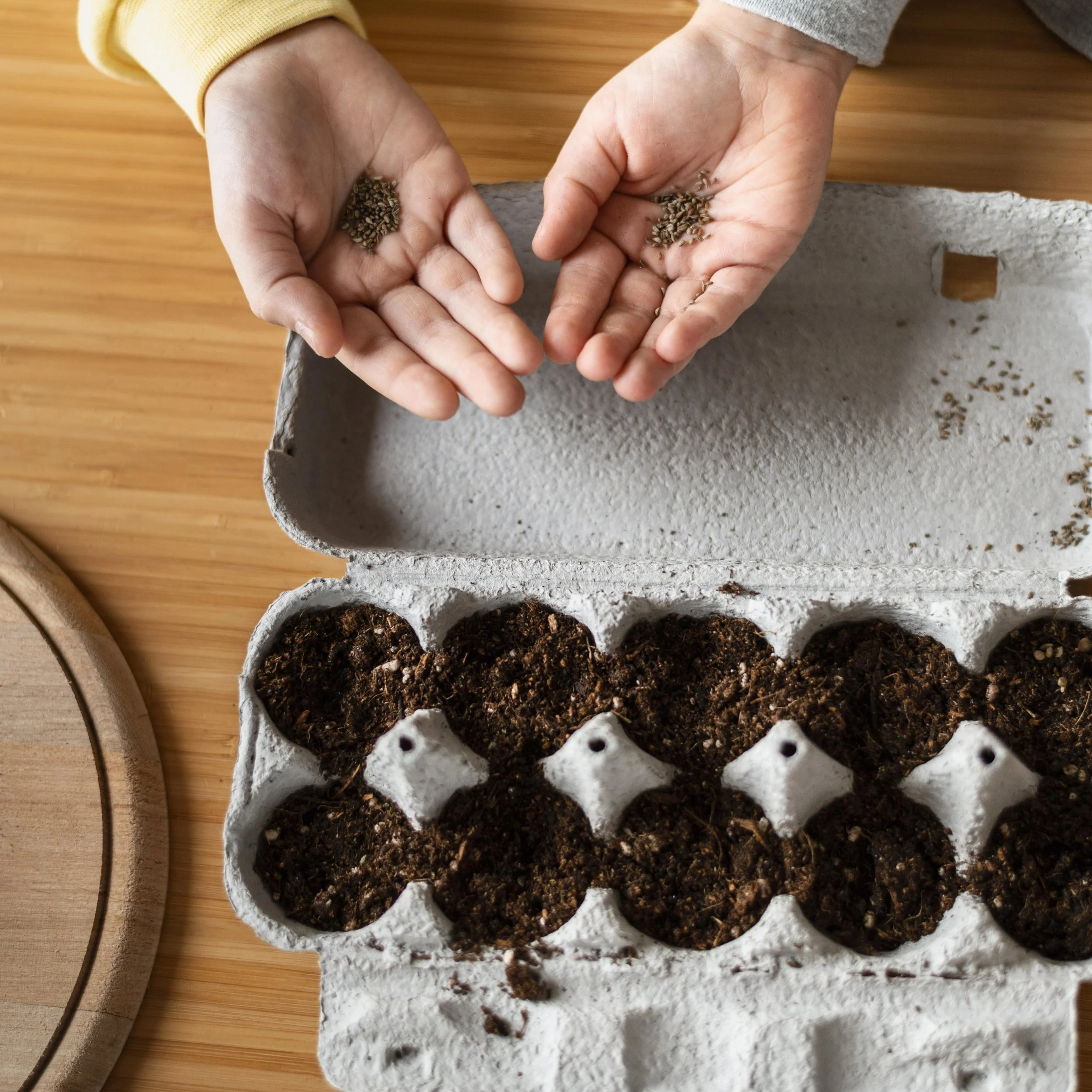 top-view-young-kids-holding-dirt-planting-seeds.jpg