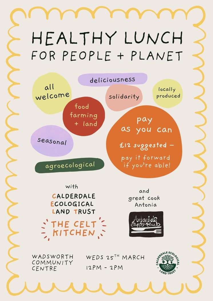 Introducing the CELt kitchen