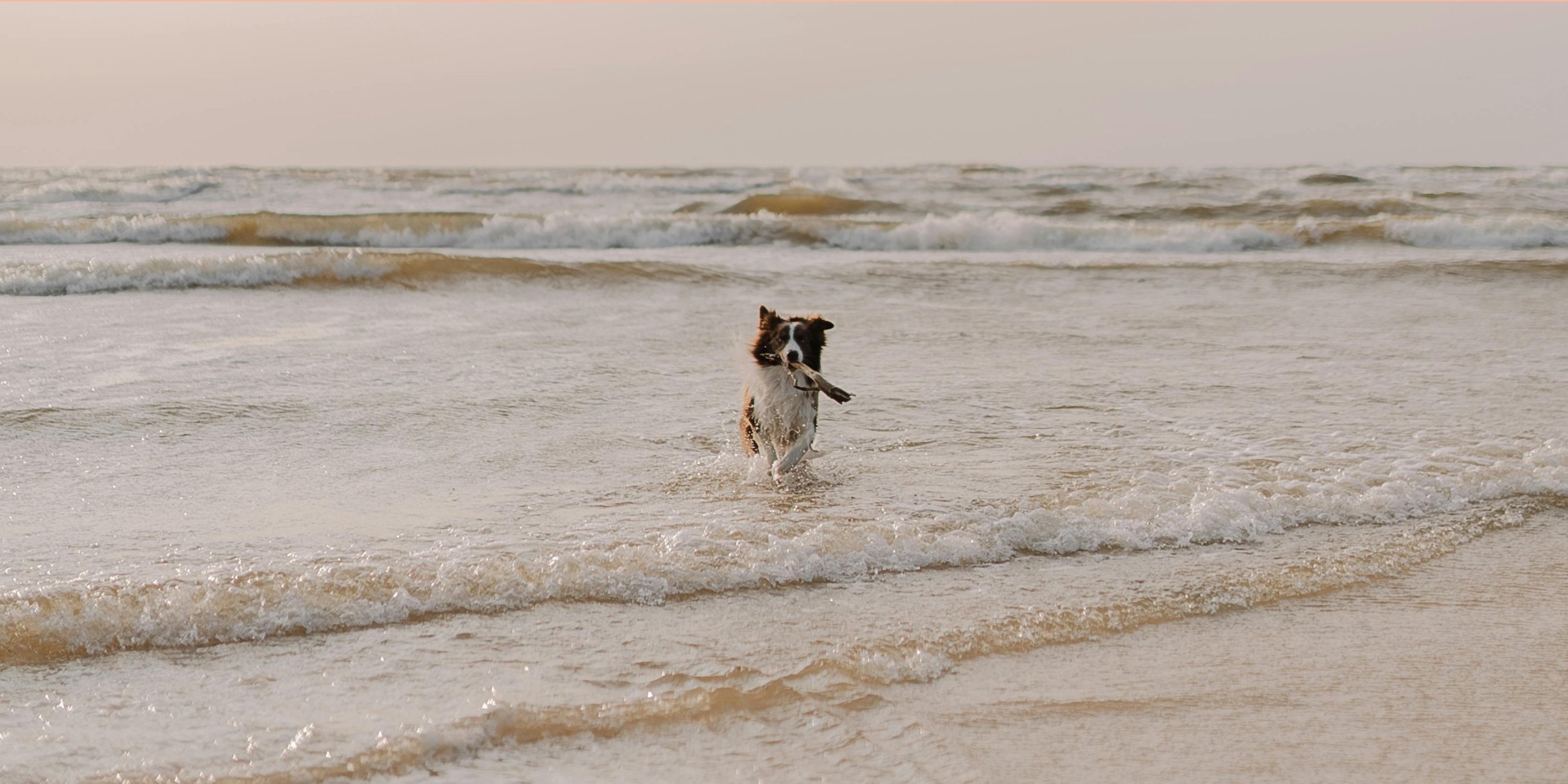 Kinderfreie, wo ist eigentlich euer Problem?