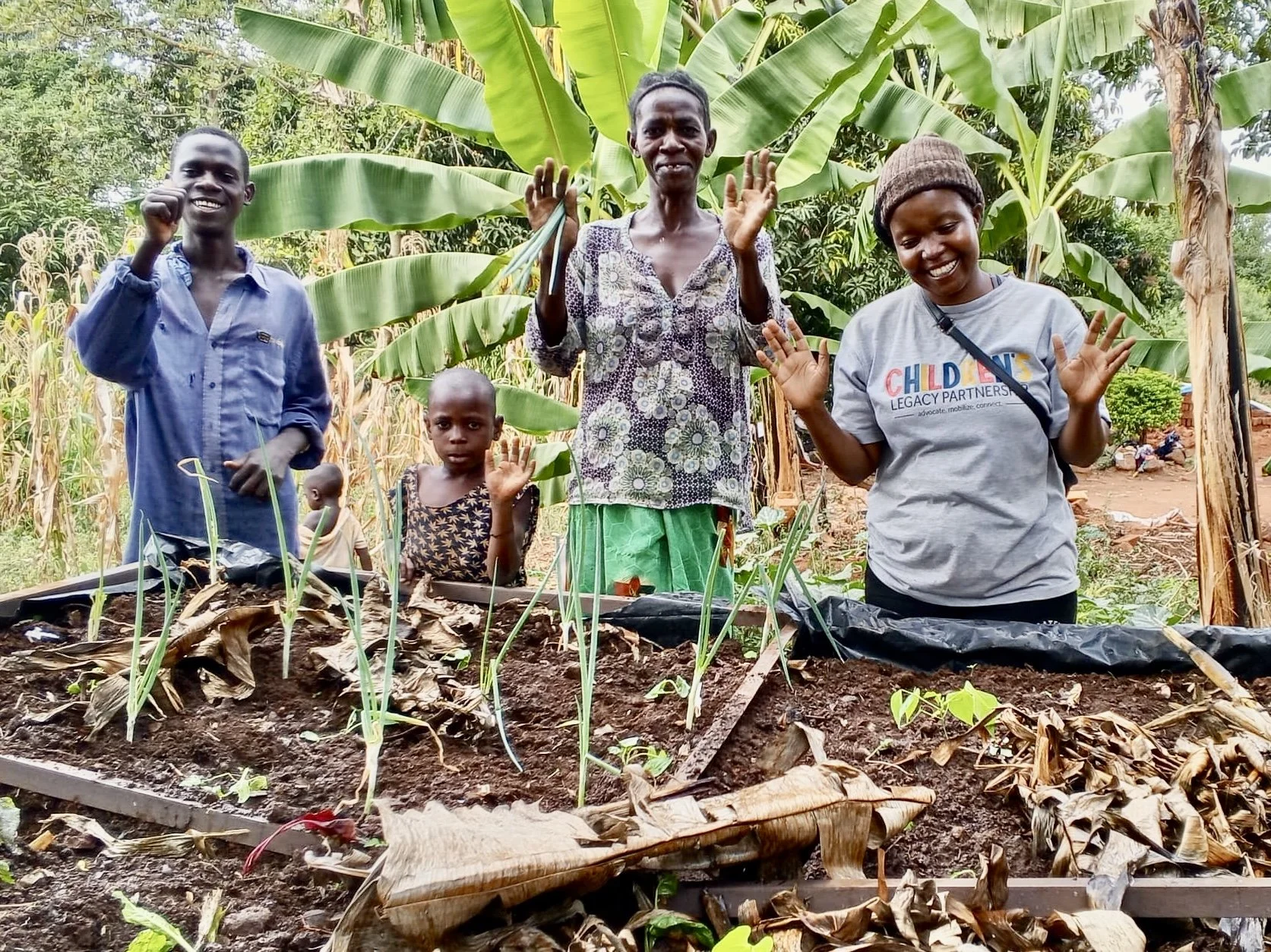 Three New Gardens, Three New Beginnings