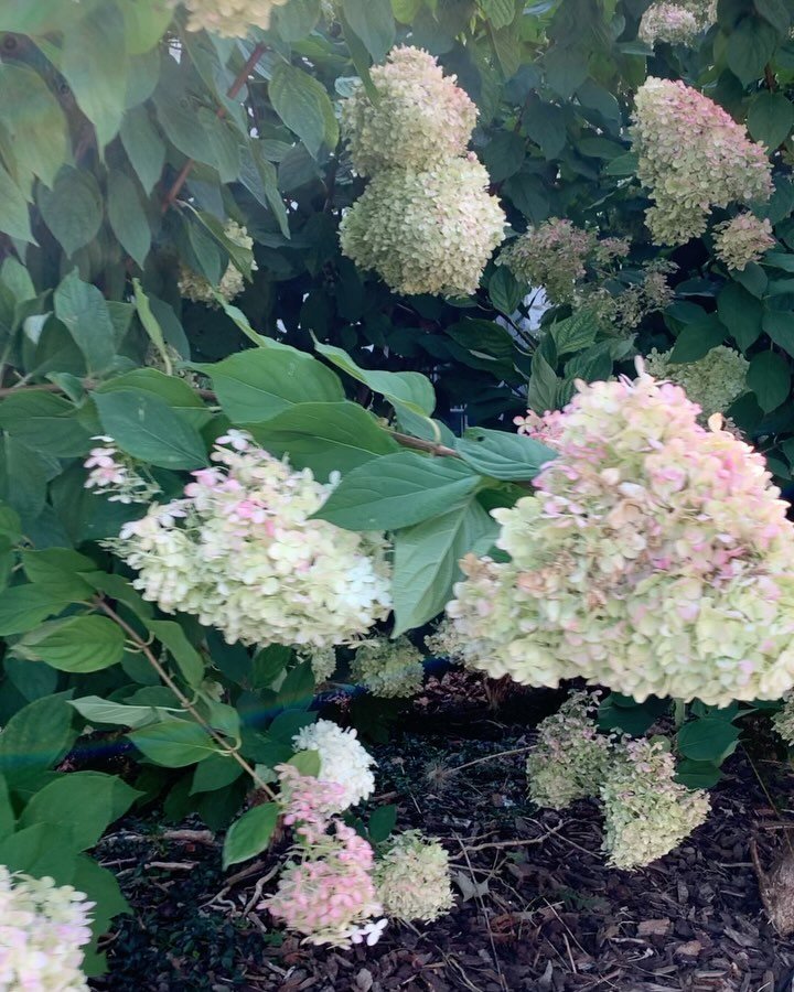 // Hi! It&rsquo;s been a minute&mdash;what was meant to be a two-day break from IG turned into a three-month pause from nearly all my socials. It started unintentional, but soon became a much-needed reset.

Do you ever feel overwhelmed by the noise a