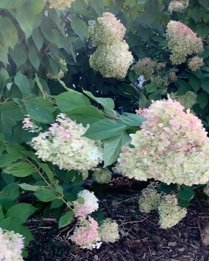 // Hi! It&rsquo;s been a minute&mdash;what was meant to be a two-day break from IG turned into a three-month pause from nearly all my socials. It started unintentional, but soon became a much-needed reset.

Do you ever feel overwhelmed by the noise a