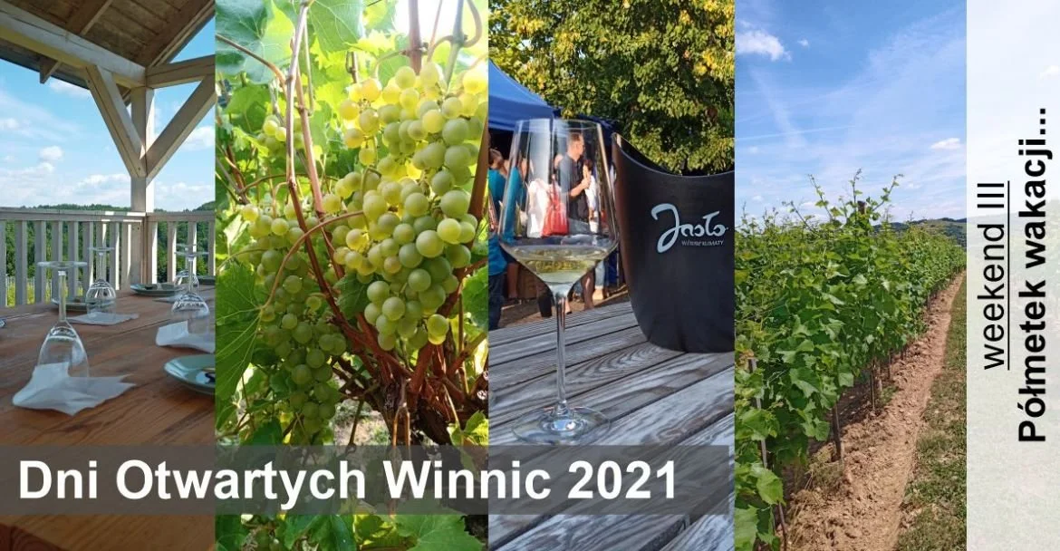 Dni Otwartych Winnic 2021 - Półmetek Wakacji.