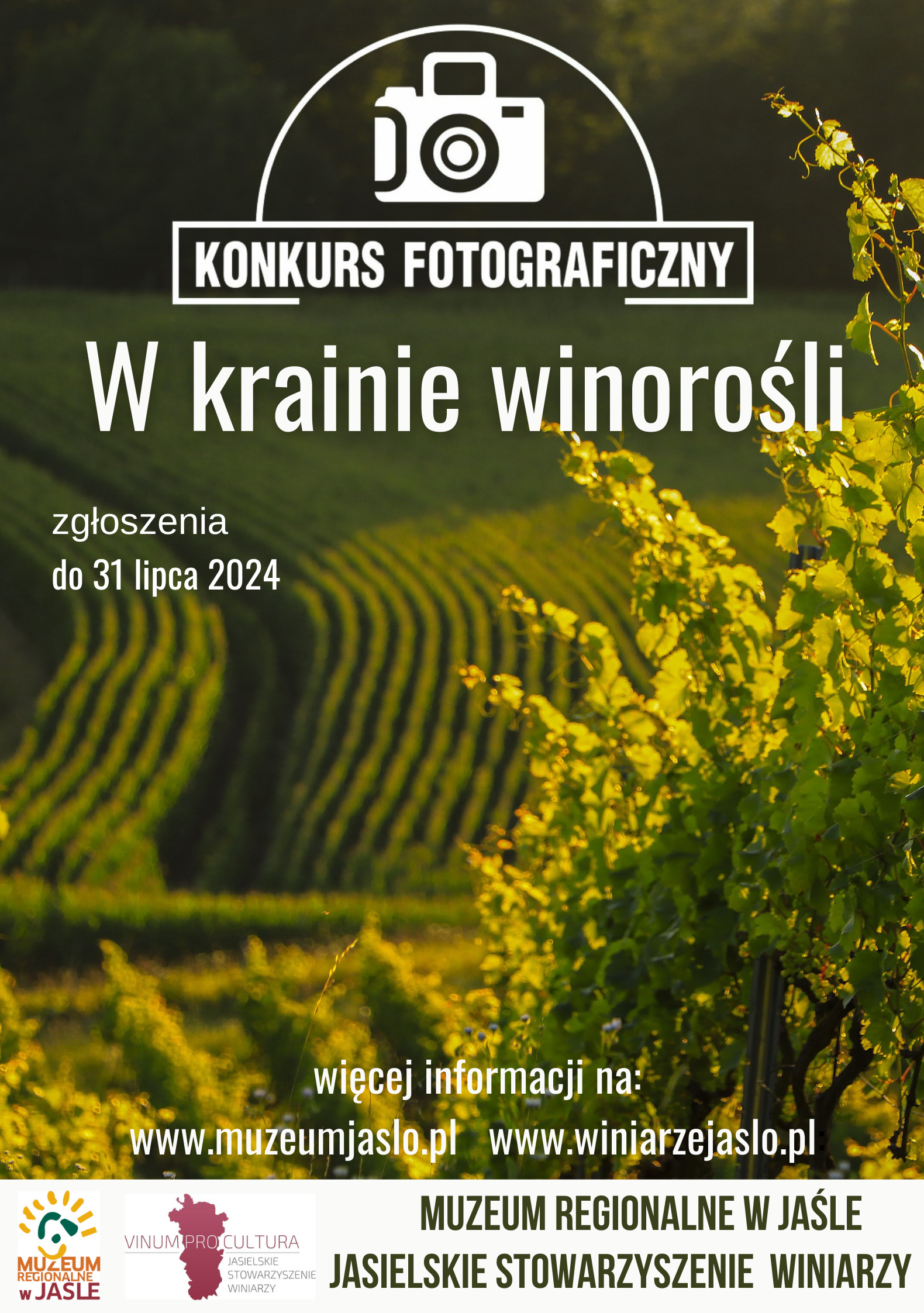 Konkurs fotograficzny “W krainie winorośli”