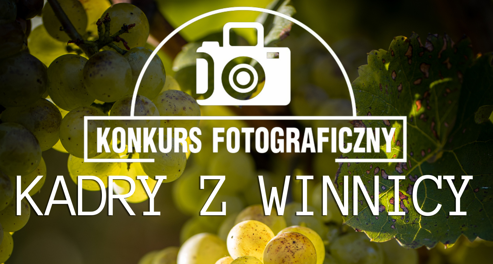“Kadry z winnicy” - weź udział w konkursie fotograficznym