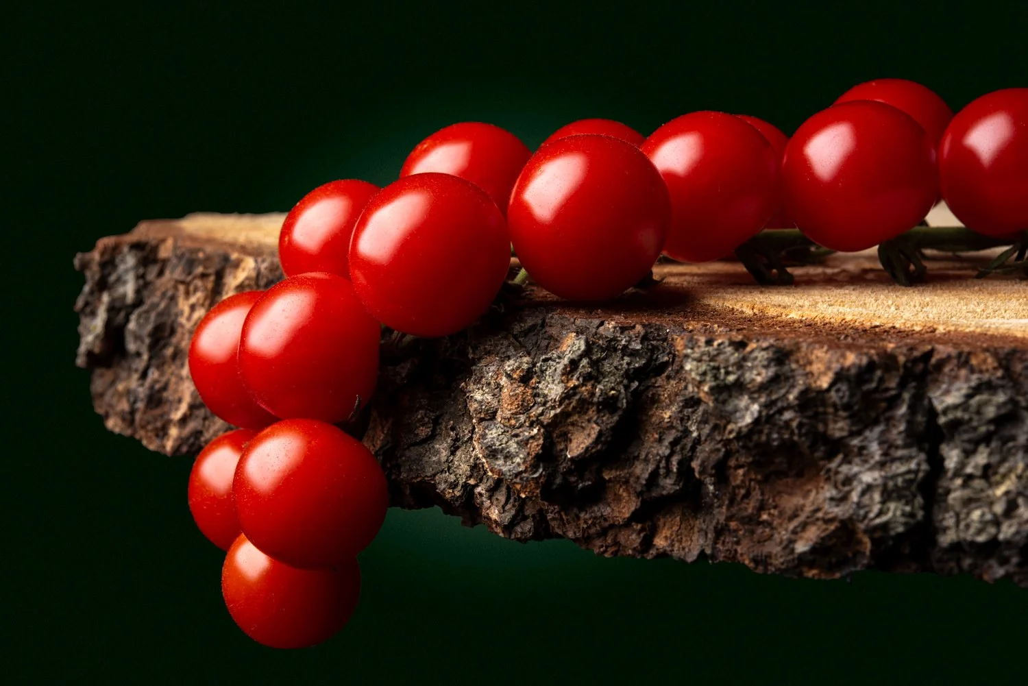 A bunch of cherry tomatoes resting on the edge of tree bark against a dark green background